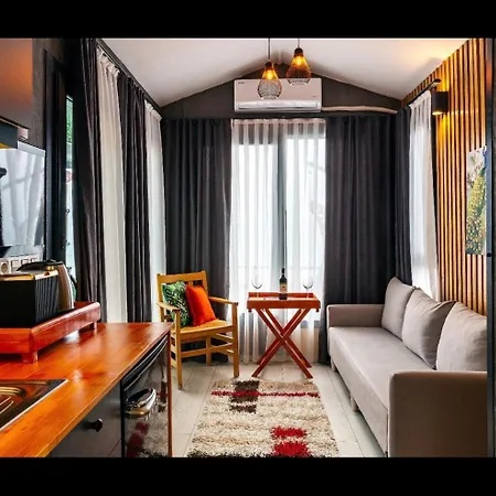 Ada Tiny House Loca *