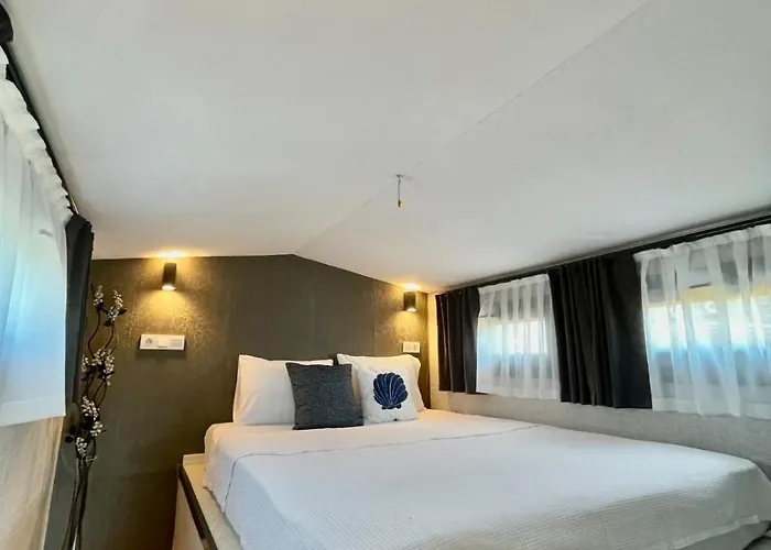 Ada Tiny House Loca Ayvacik (Canakkale)