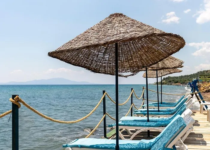 Ada Tiny House Loca 4*